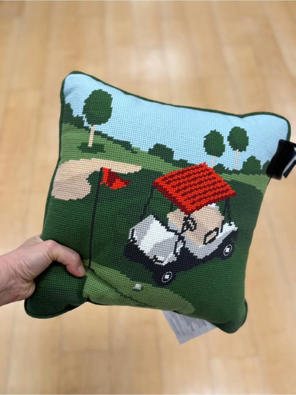 Golf Cart Needlepoint Decorative Pillow - Green, Red, Blue